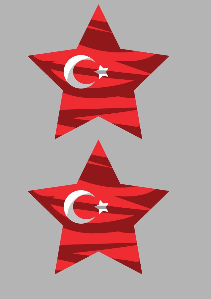 Yıldızlı Türk Bayrağı 