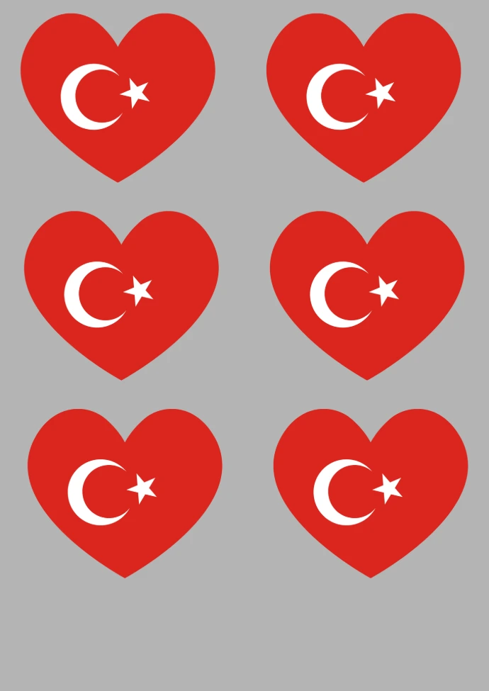 Kalpli Türk Bayrağı 